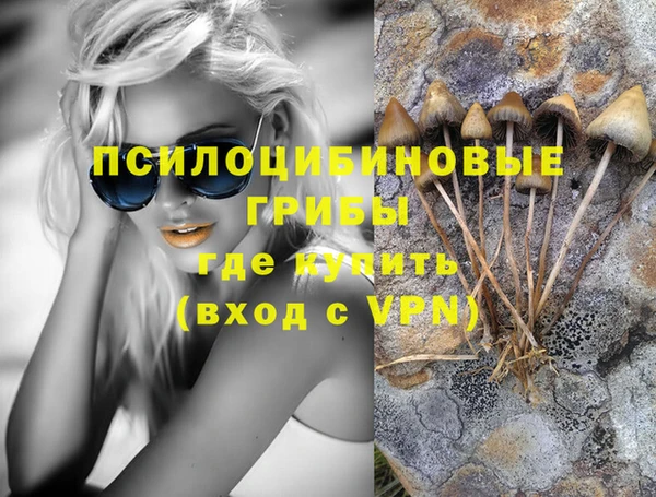 дурь Майский