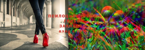 спайс Мегион