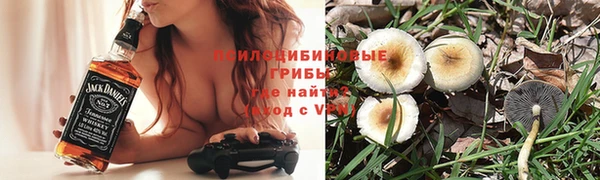 эйфоретик Магас