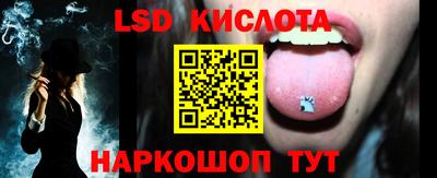прущие грибы Гатчина
