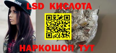прущие грибы Гатчина