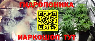 прущие грибы Гатчина
