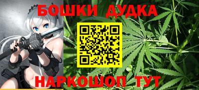 индика Гагарин