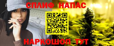индика Гагарин