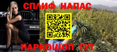 прущие грибы Гатчина