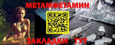 прущие грибы Гатчина