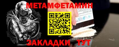 прущие грибы Гатчина