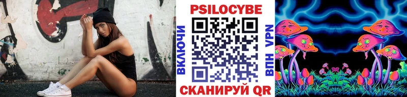 купить наркоту  мега как зайти  Псилоцибиновые грибы Psilocybe  Фрязино 