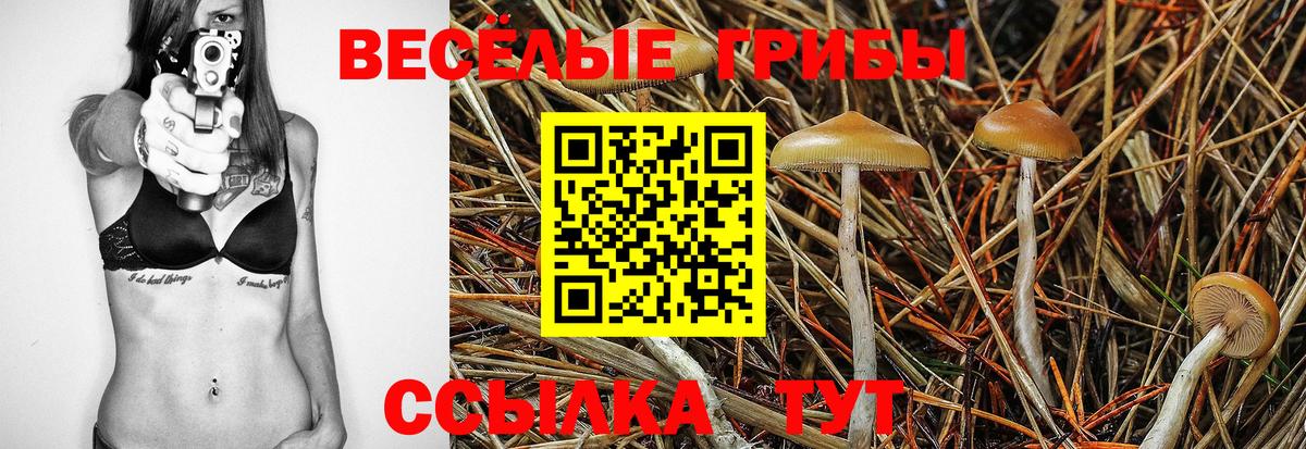 Галлюциногенные грибы Psilocybine cubensis Фрязино