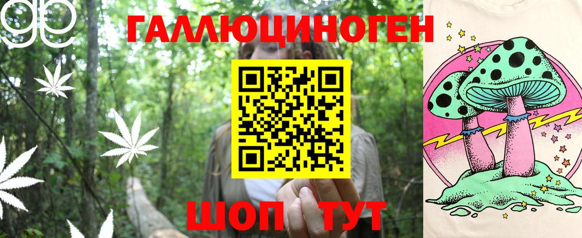 Псилоцибиновые грибы GOLDEN TEACHER  Псилоцибиновые грибы прущие грибы  Фрязино 