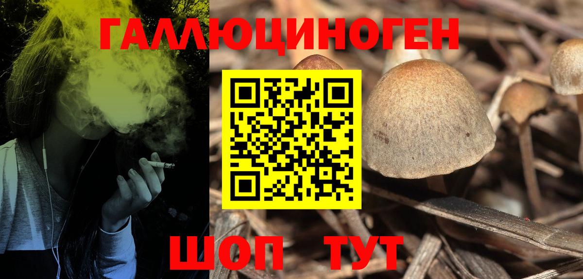 Фрязино  Галлюциногенные грибы мухоморы  Псилоцибиновые грибы Psilocybe  Вход с VPN 